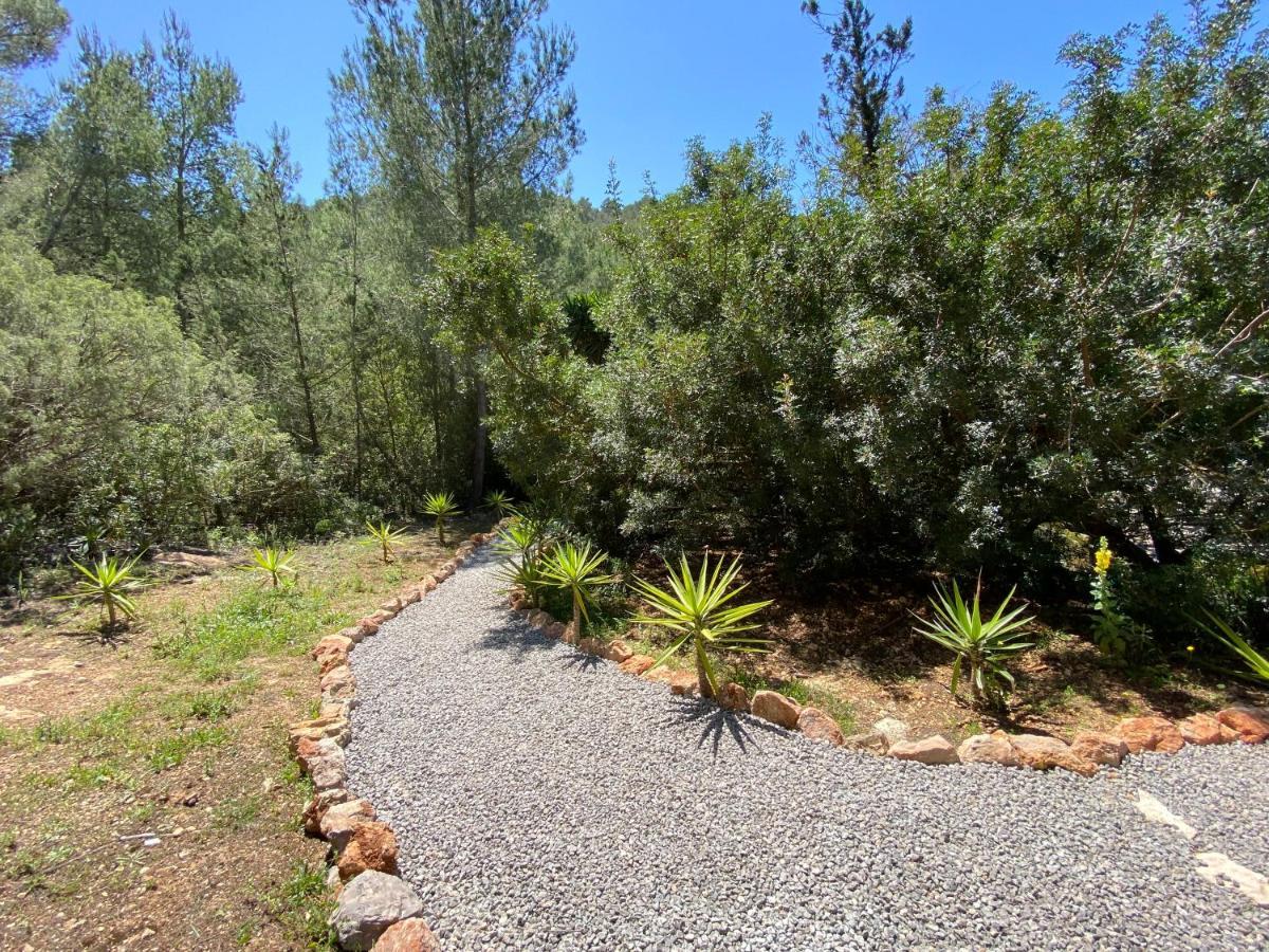 Iara 3* Sant Miquel de Balansat