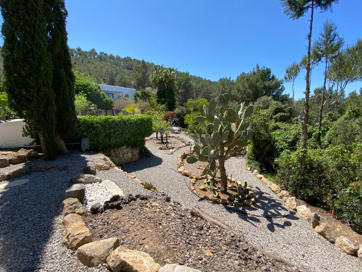 Iara 3* Sant Miquel de Balansat